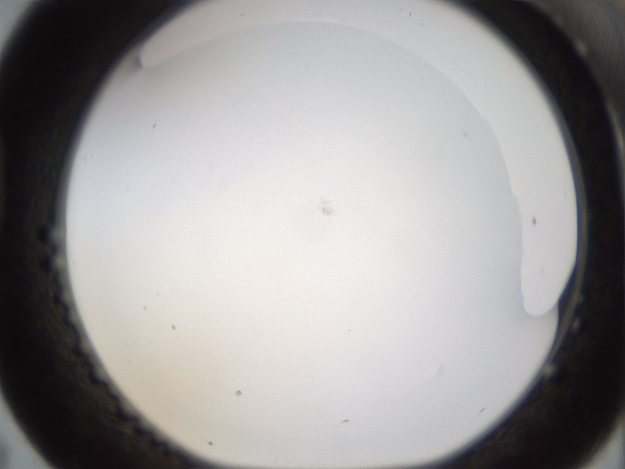 folderID432_plateID1432_batchID5439_wellNum43_profileID1_d1_r88045_ef.jpg