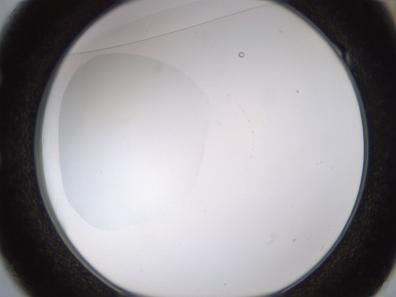 folderID432_plateID1432_batchID5439_wellNum49_profileID1_d1_r88057_ef.jpg