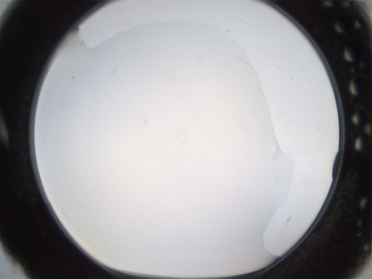 folderID432_plateID1432_batchID5439_wellNum4_profileID1_d1_r87967_ef.jpg