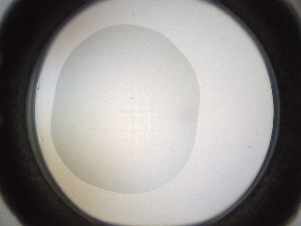 folderID432_plateID1432_batchID5439_wellNum53_profileID1_d1_r88065_ef.jpg