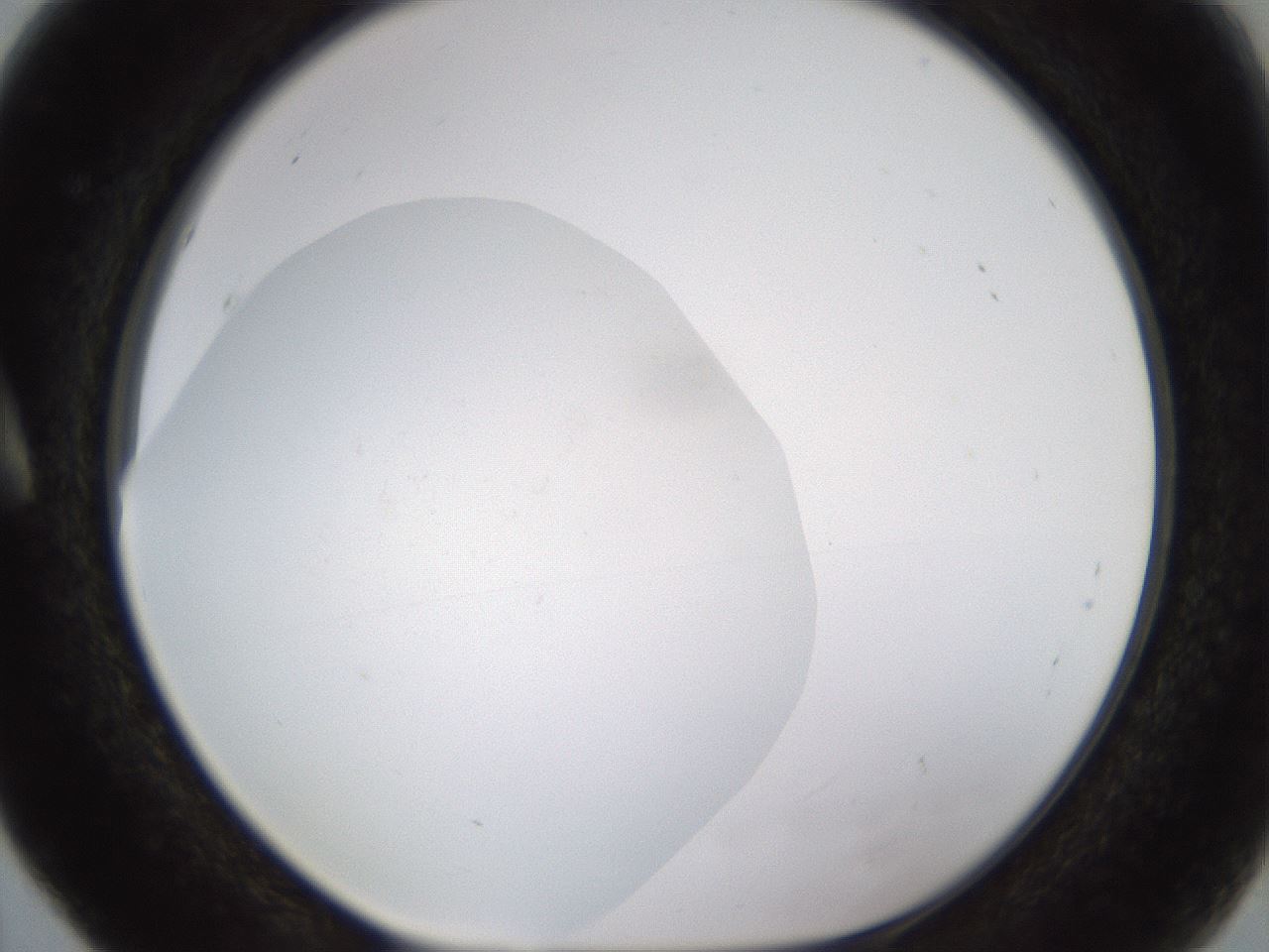 folderID432_plateID1432_batchID5439_wellNum5_profileID1_d1_r87969_ef.jpg