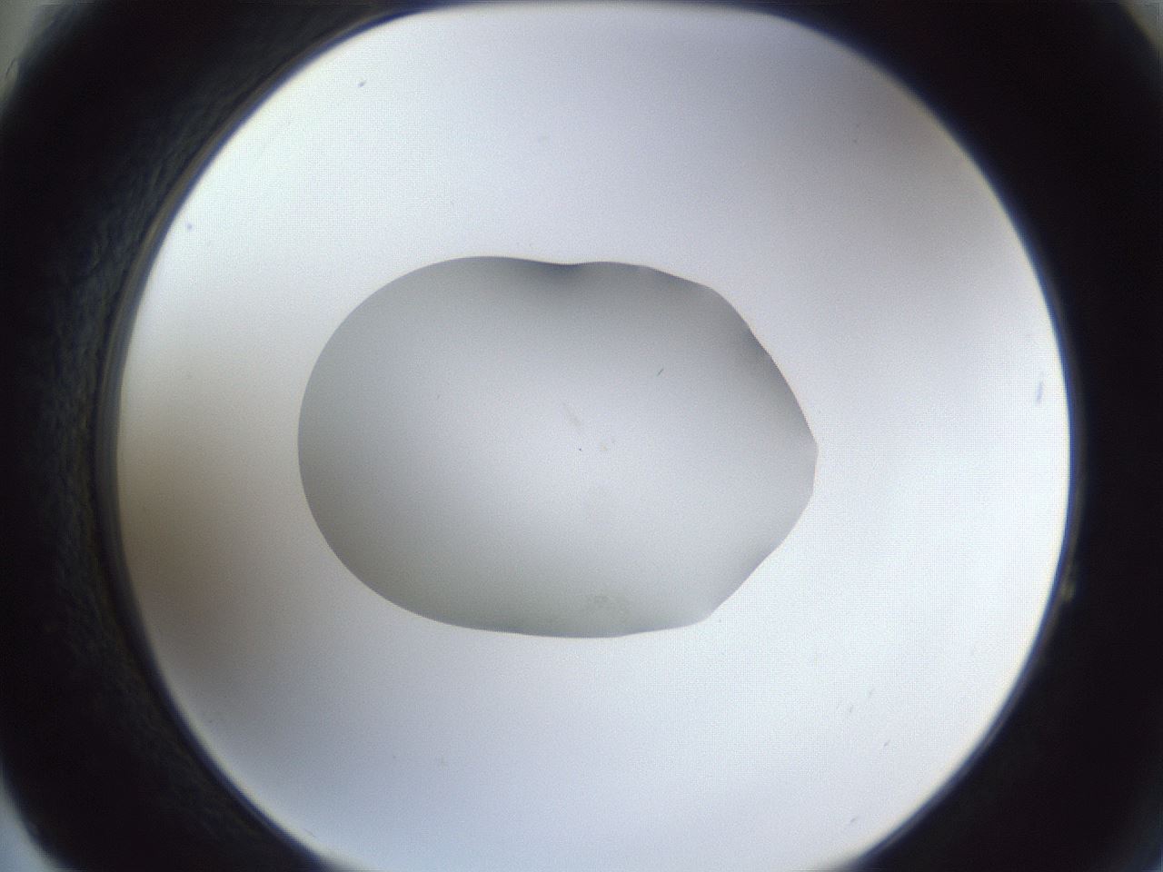 folderID52_plateID1052_batchID2254_wellNum64_profileID1_d2_r47632_ef.jpg