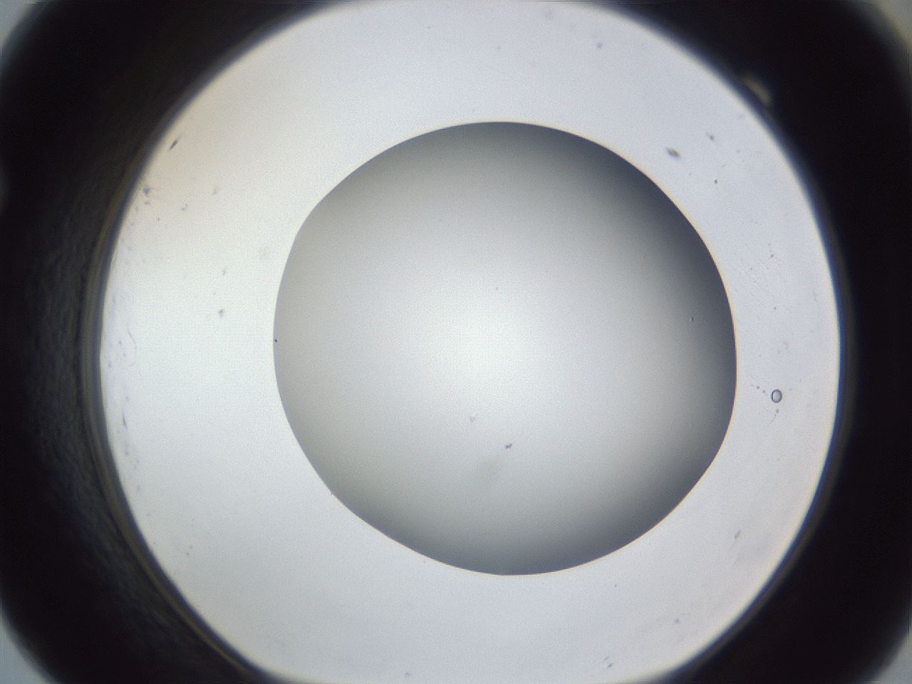 folderID52_plateID1052_batchID2254_wellNum69_profileID1_d1_r47641_ef.jpg