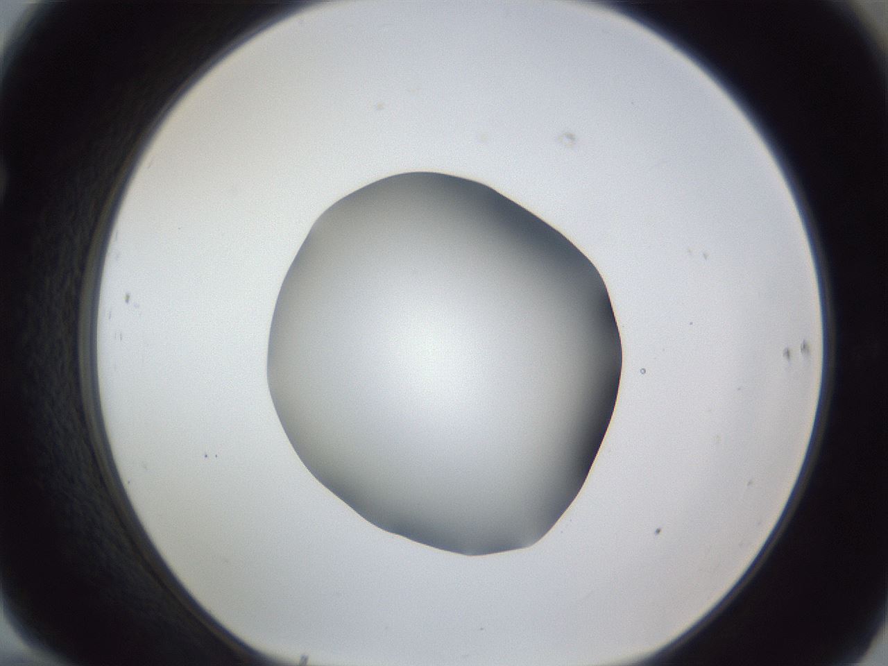 folderID52_plateID1052_batchID2254_wellNum70_profileID1_d1_r47643_ef.jpg