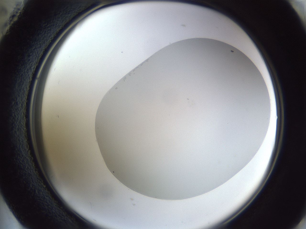 folderID52_plateID1052_batchID2254_wellNum73_profileID1_d2_r47650_ef.jpg