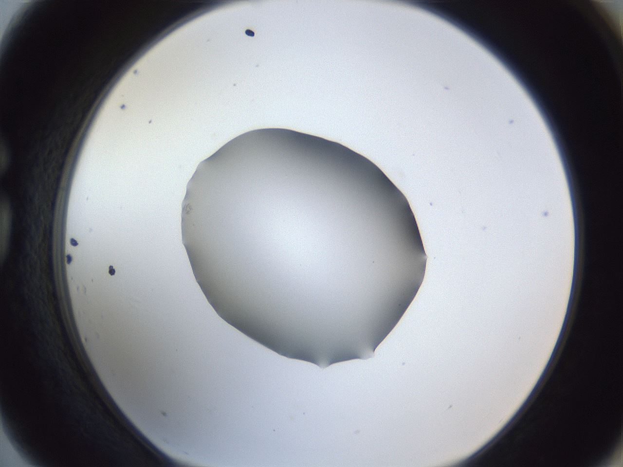 folderID52_plateID1052_batchID2254_wellNum75_profileID1_d1_r47653_ef.jpg