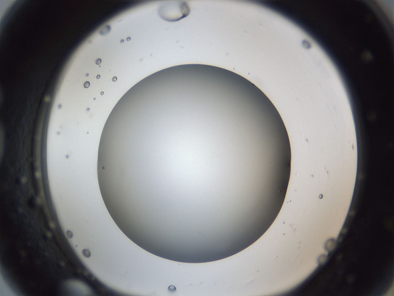 folderID52_plateID1052_batchID2254_wellNum80_profileID1_d1_r47663_ef.jpg