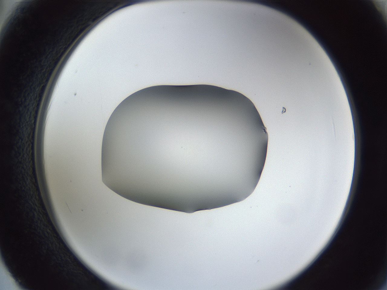 folderID52_plateID1052_batchID2254_wellNum62_profileID1_d2_r47628_ef.jpg