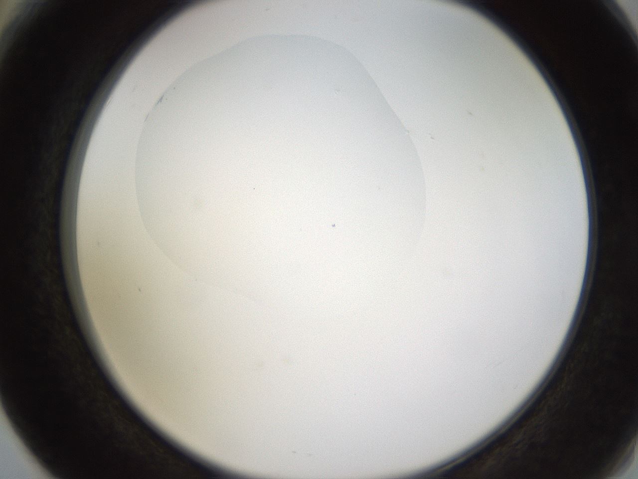 folderID432_plateID1432_batchID5439_wellNum66_profileID1_d2_r88092_ef.jpg