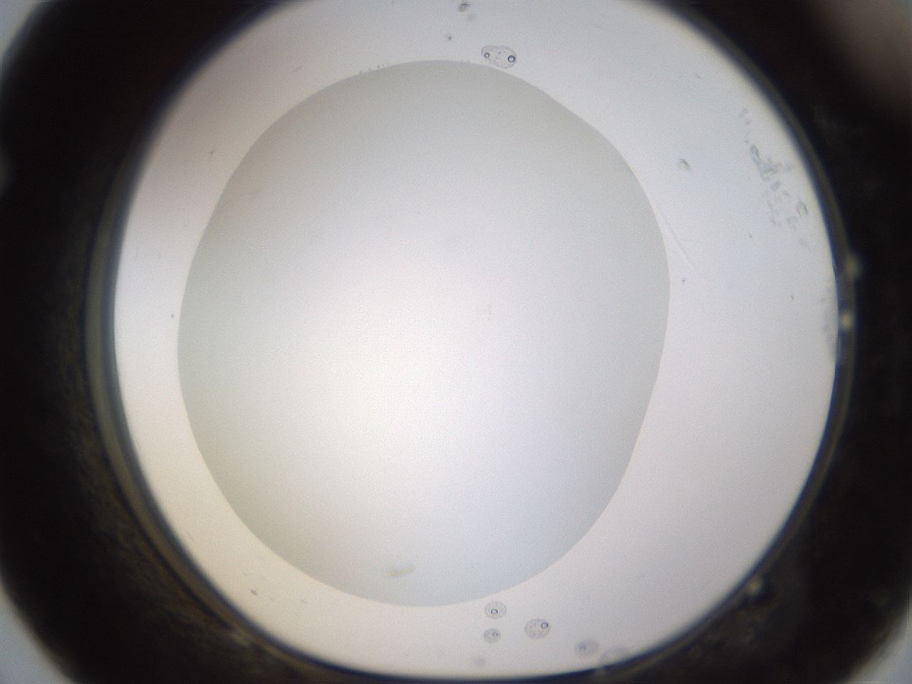 folderID432_plateID1432_batchID5439_wellNum68_profileID1_d1_r88095_ef.jpg
