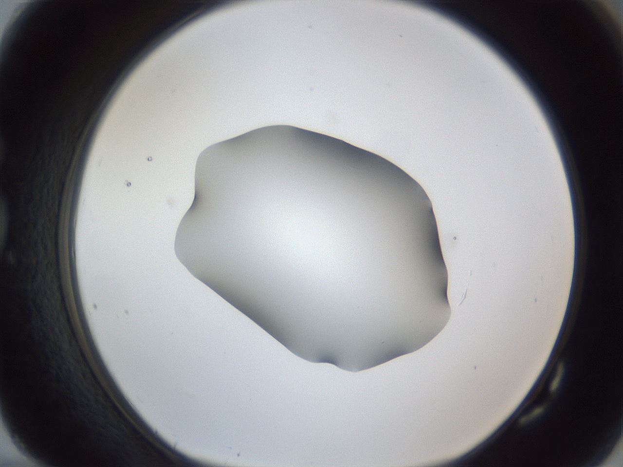 folderID52_plateID1052_batchID2254_wellNum82_profileID1_d1_r47667_ef.jpg