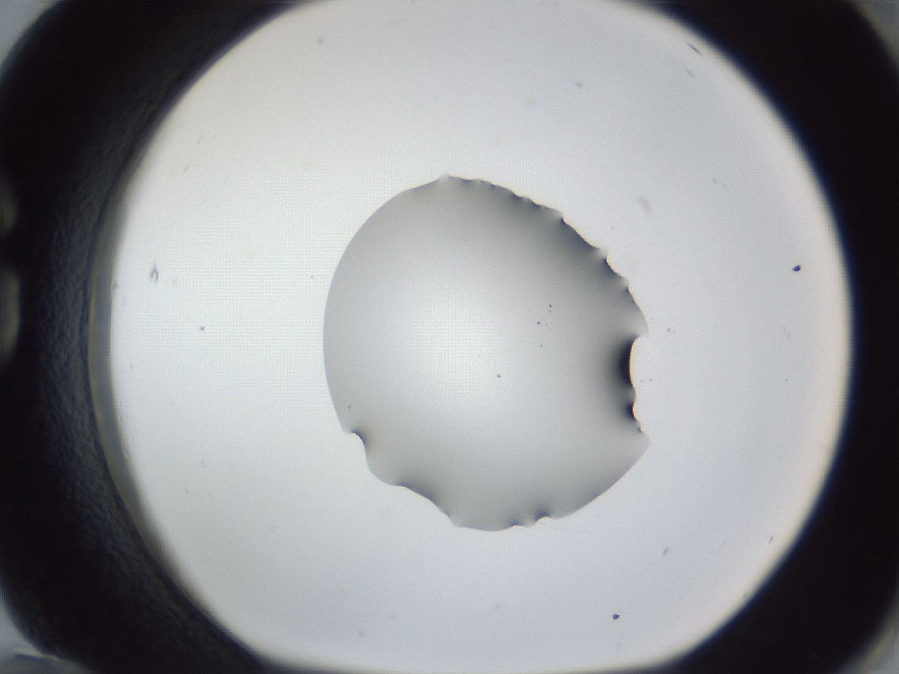folderID52_plateID1052_batchID2254_wellNum84_profileID1_d1_r47671_ef.jpg