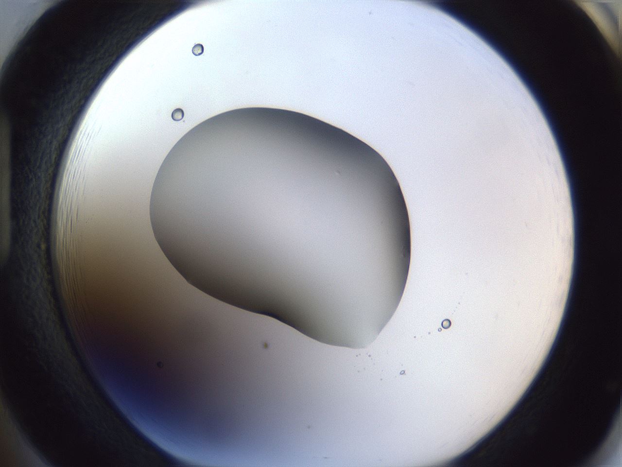 folderID52_plateID1052_batchID2254_wellNum85_profileID1_d1_r47673_ef.jpg