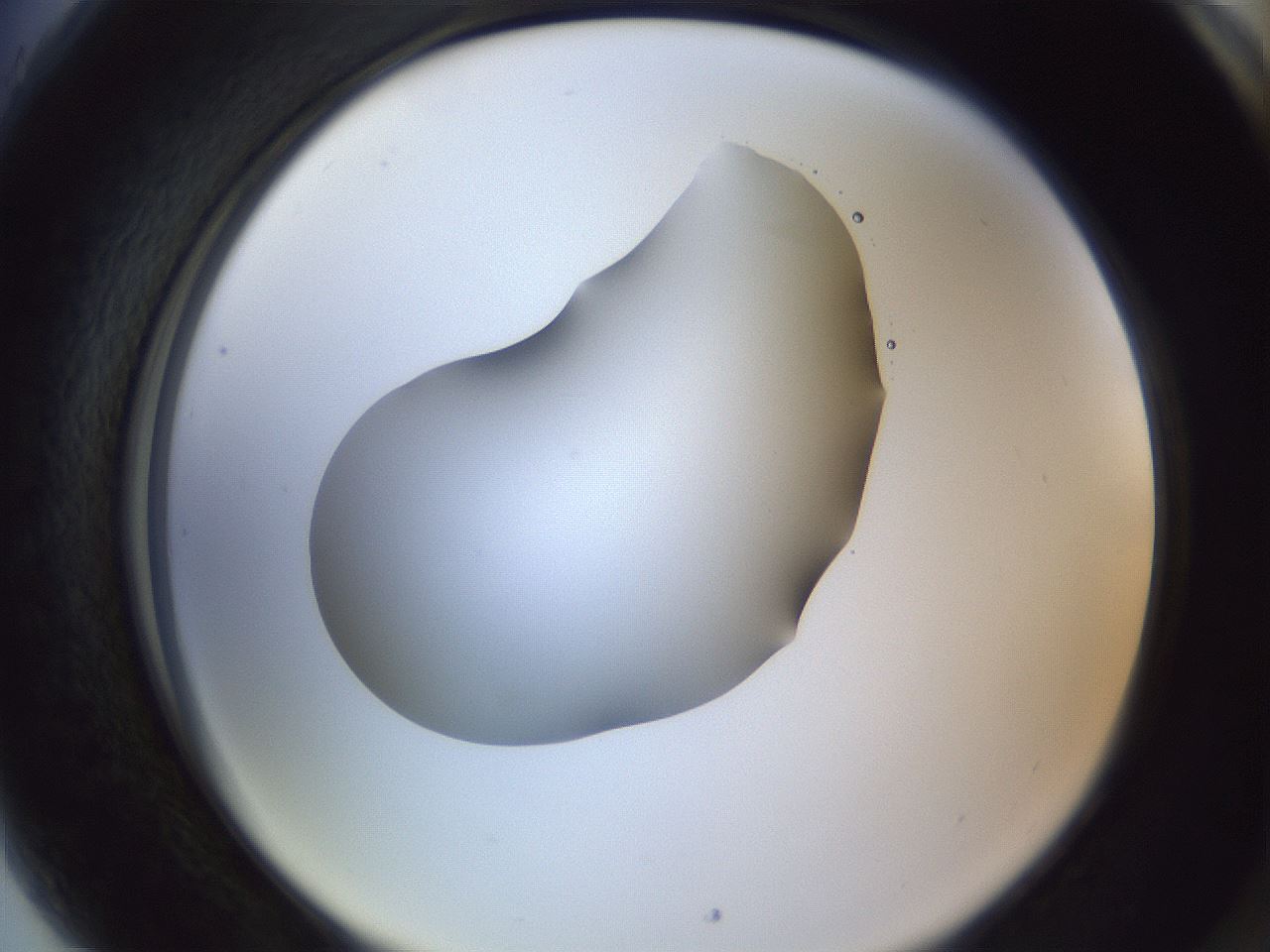 folderID52_plateID1052_batchID2254_wellNum89_profileID1_d2_r47682_ef.jpg
