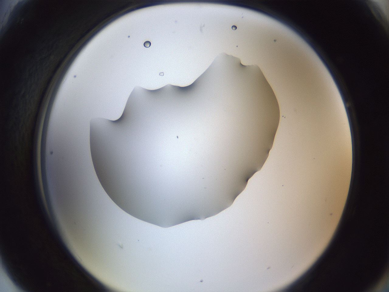 folderID52_plateID1052_batchID2254_wellNum90_profileID1_d2_r47684_ef.jpg