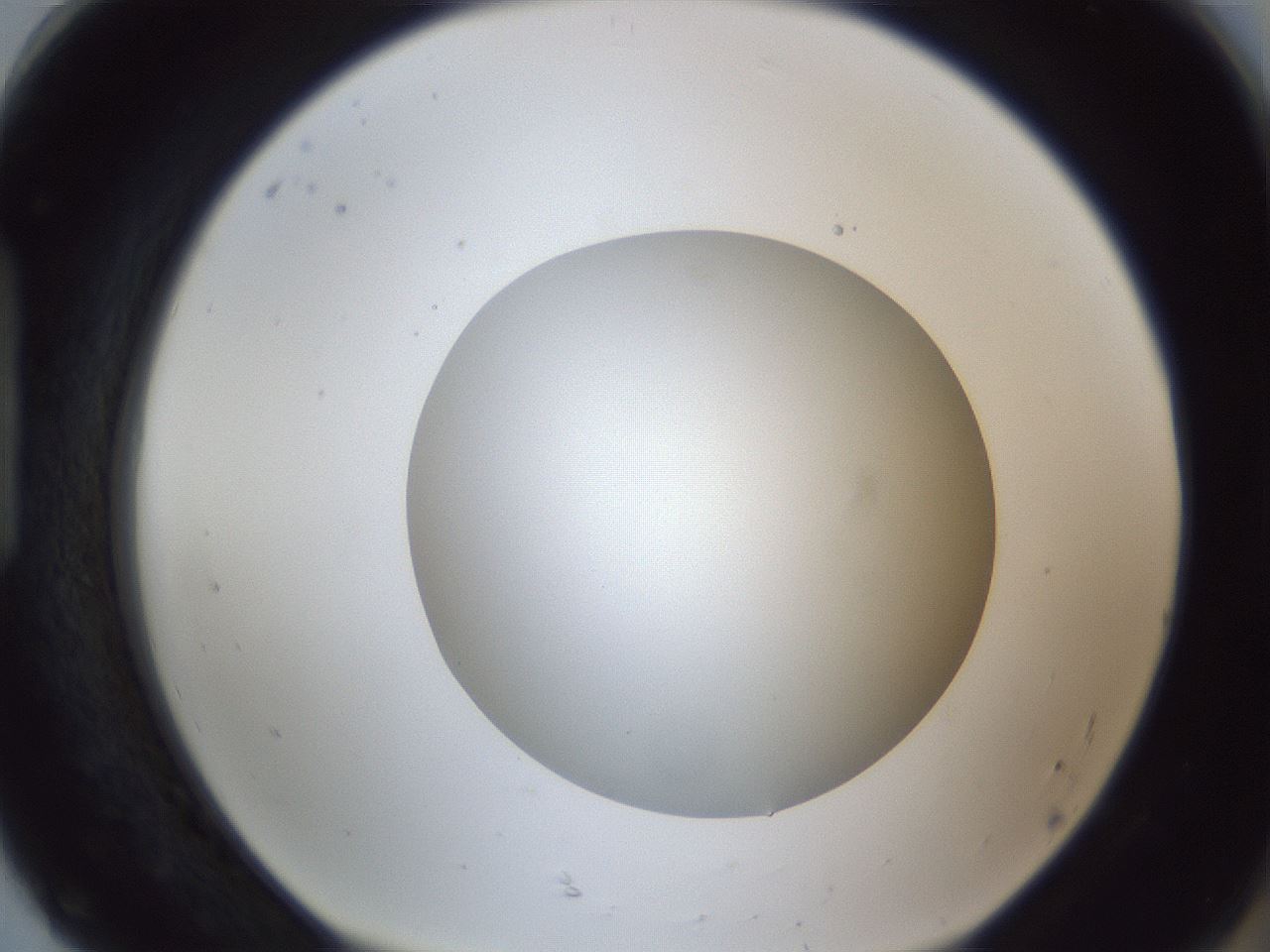folderID52_plateID1052_batchID2254_wellNum92_profileID1_d1_r47687_ef.jpg