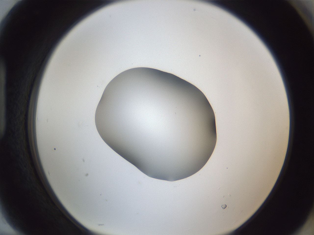 folderID52_plateID1052_batchID2254_wellNum94_profileID1_d1_r47691_ef.jpg