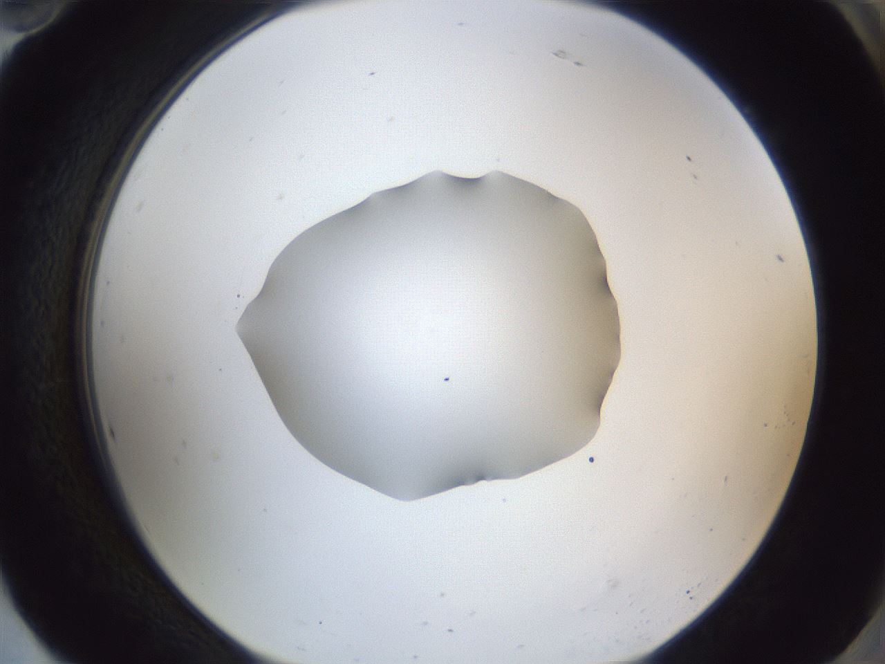 folderID52_plateID1052_batchID2254_wellNum94_profileID1_d2_r47692_ef.jpg