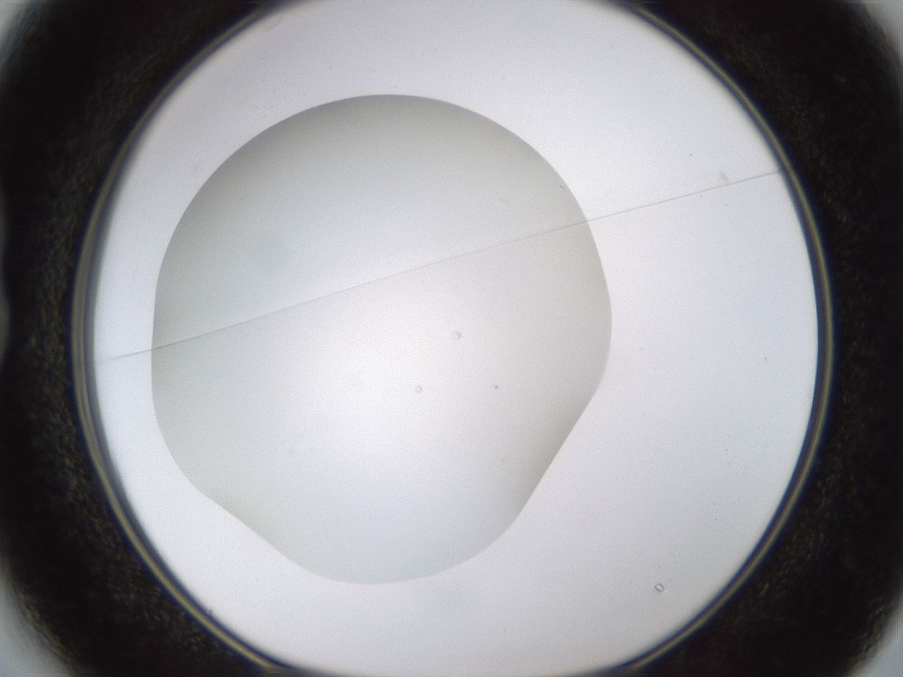 folderID433_plateID1433_batchID5440_wellNum13_profileID1_d1_r88369_ef.jpg