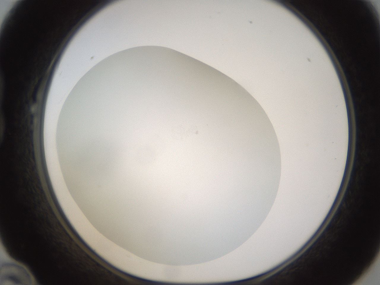 folderID432_plateID1432_batchID5439_wellNum22_profileID1_d1_r88003_ef.jpg