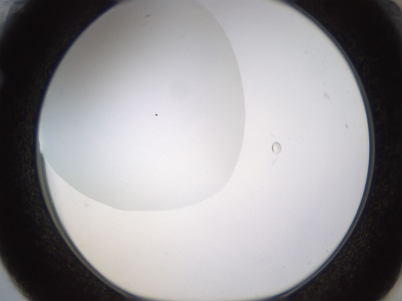 folderID432_plateID1432_batchID5439_wellNum61_profileID1_d1_r88081_ef.jpg