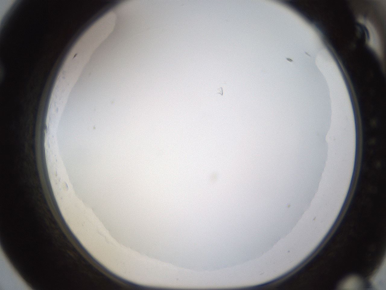 folderID432_plateID1432_batchID5439_wellNum69_profileID1_d1_r88097_ef.jpg