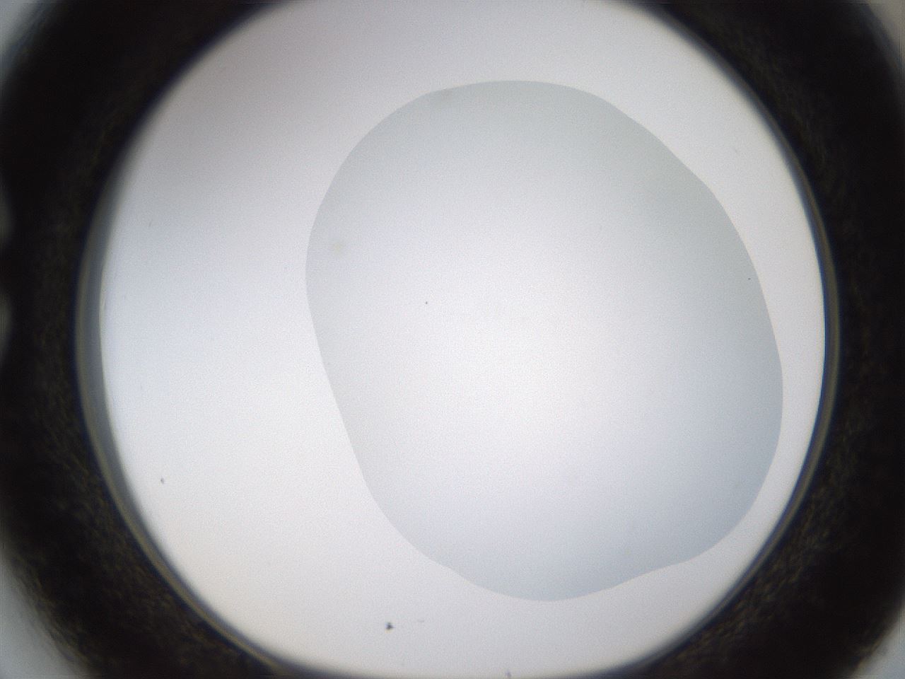 folderID433_plateID1433_batchID5440_wellNum27_profileID1_d1_r88397_ef.jpg