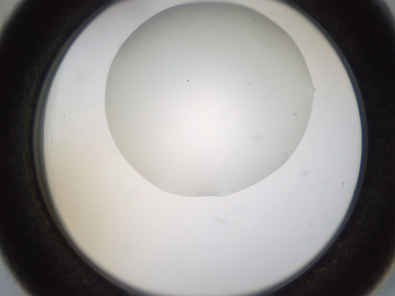 folderID433_plateID1433_batchID5440_wellNum39_profileID1_d2_r88422_ef.jpg