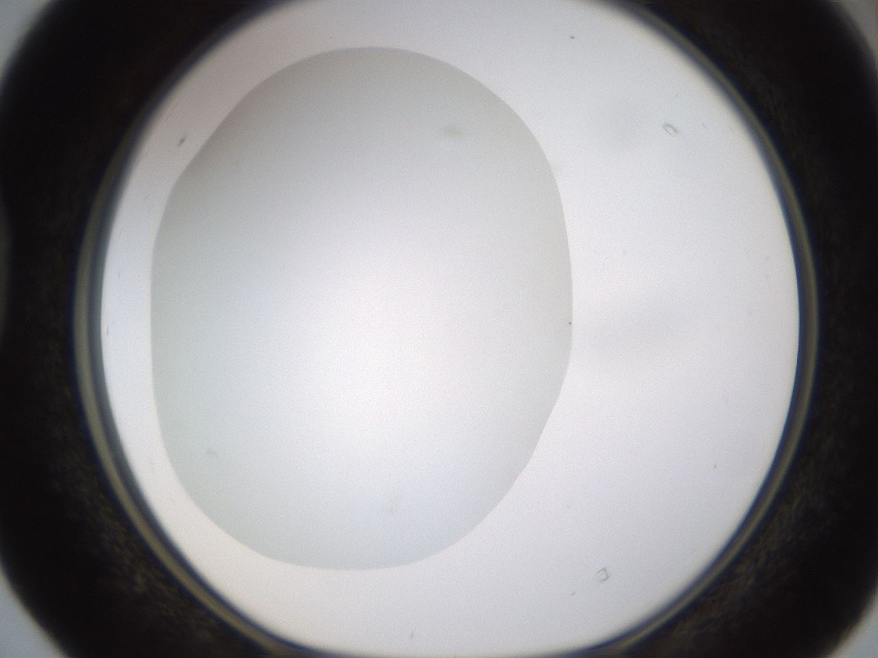 folderID433_plateID1433_batchID5440_wellNum40_profileID1_d1_r88423_ef.jpg