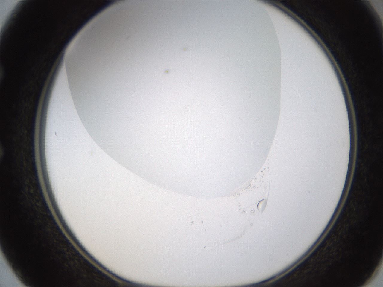 folderID433_plateID1433_batchID5440_wellNum50_profileID1_d1_r88443_ef.jpg