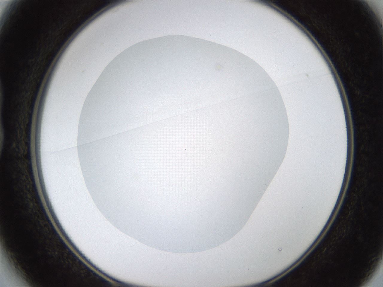 folderID434_plateID1434_batchID5443_wellNum13_profileID1_d1_r89329_ef.jpg