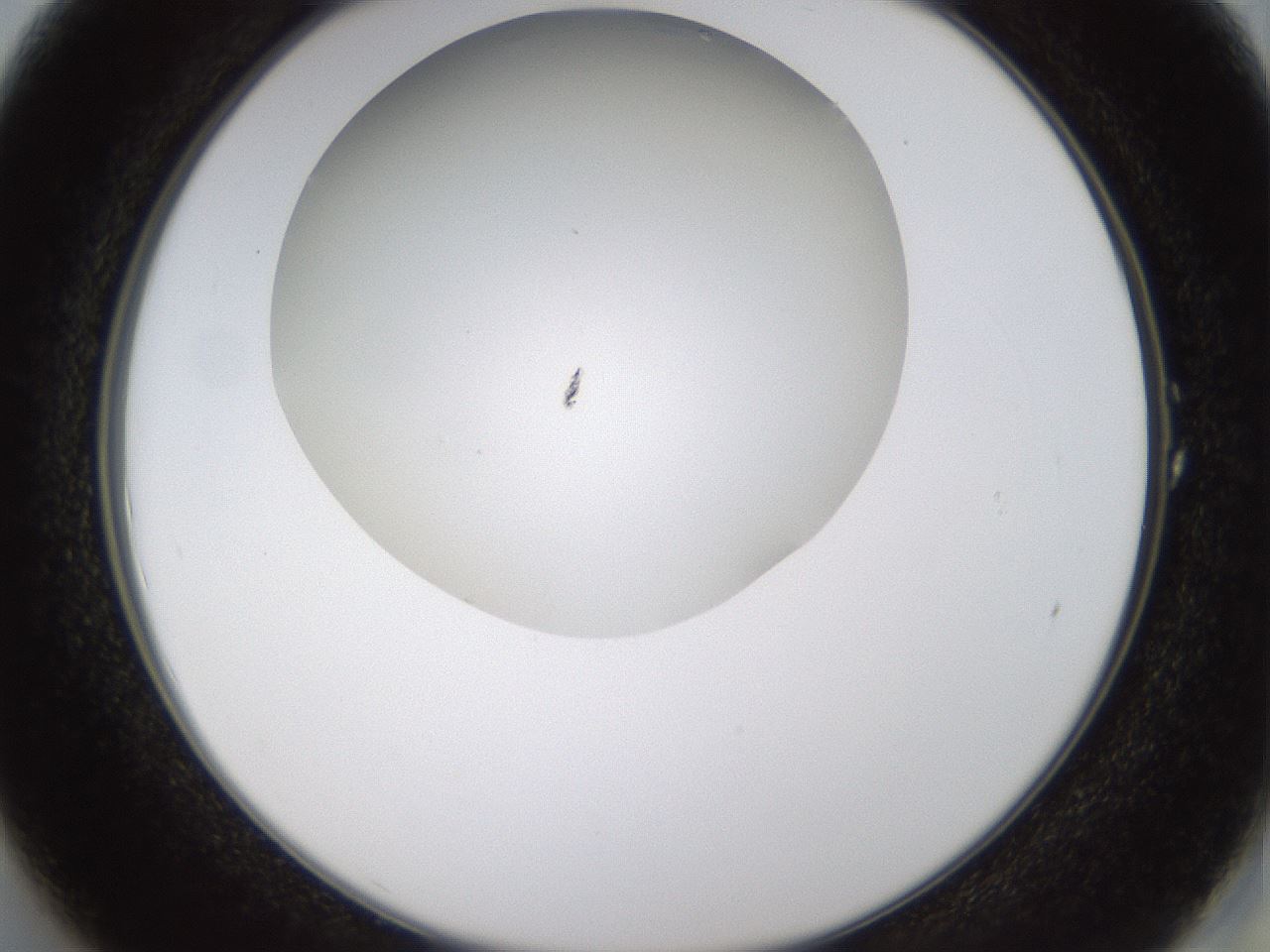 folderID434_plateID1434_batchID5443_wellNum1_profileID1_d2_r89306_ef.jpg