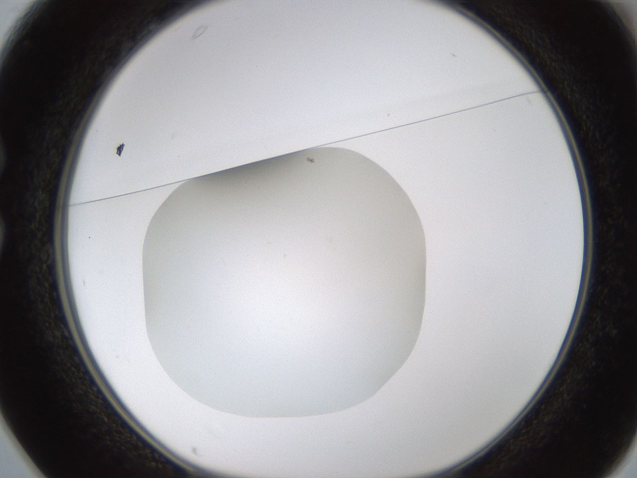 folderID434_plateID1434_batchID5443_wellNum25_profileID1_d1_r89353_ef.jpg