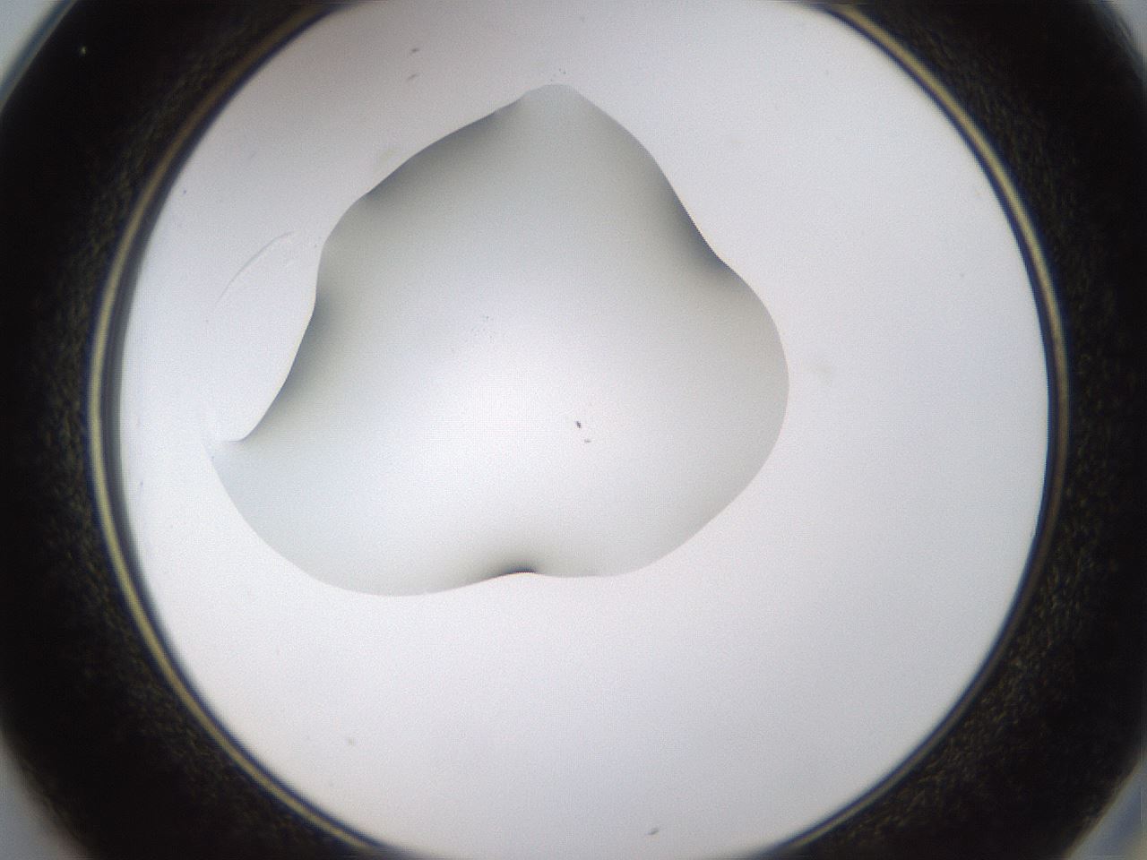 folderID434_plateID1434_batchID5443_wellNum25_profileID1_d2_r89354_ef.jpg