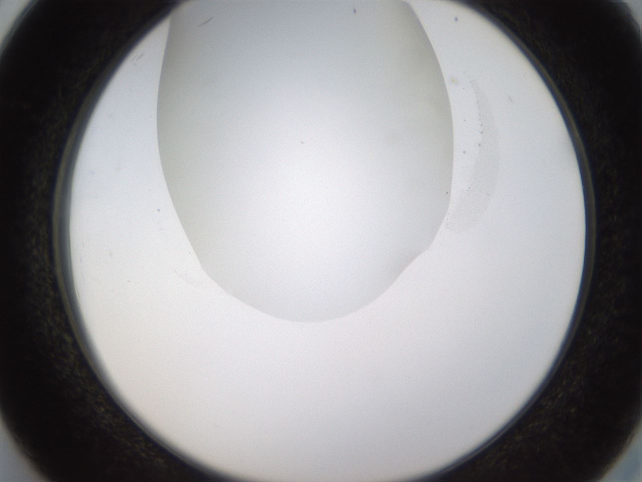 folderID434_plateID1434_batchID5443_wellNum26_profileID1_d2_r89356_ef.jpg