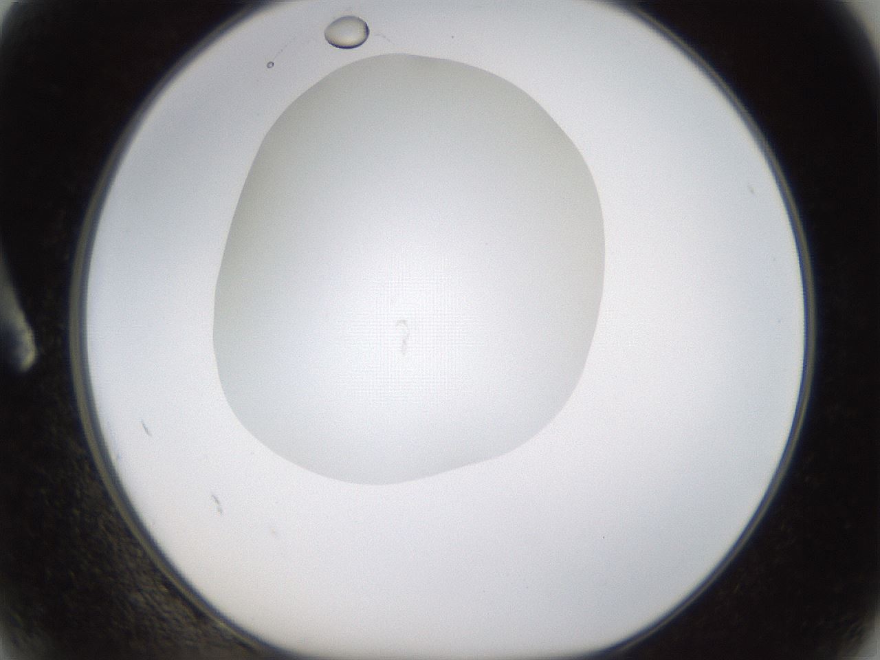 folderID434_plateID1434_batchID5443_wellNum2_profileID1_d1_r89307_ef.jpg