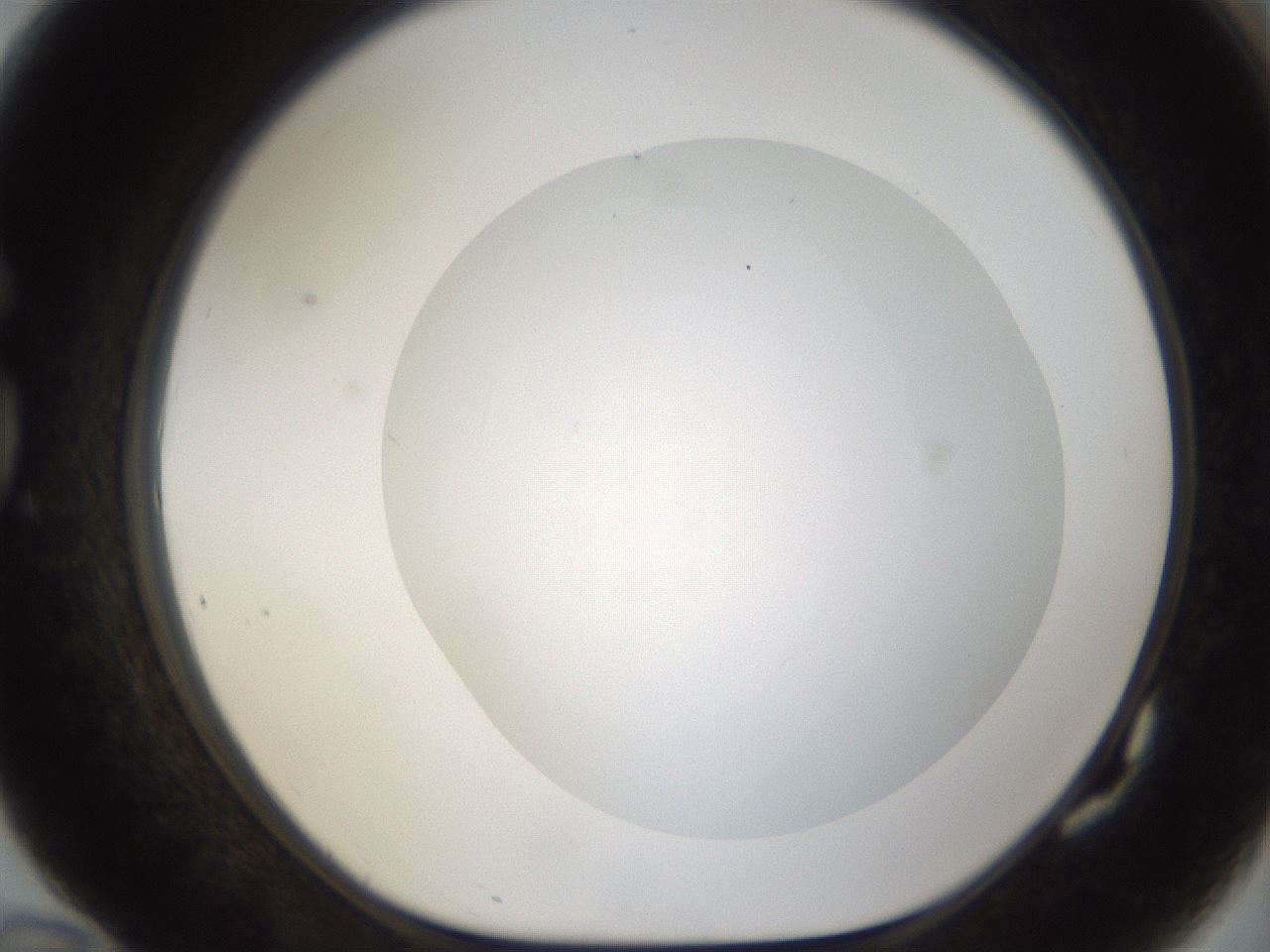 folderID53_plateID1053_batchID2251_wellNum82_profileID1_d1_r47394_ef.jpg