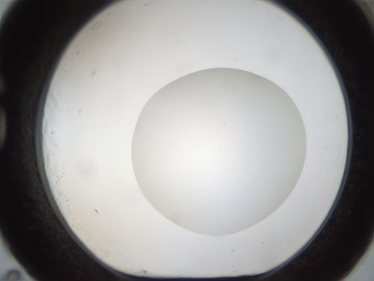 folderID53_plateID1053_batchID2251_wellNum83_profileID1_d1_r47395_ef.jpg