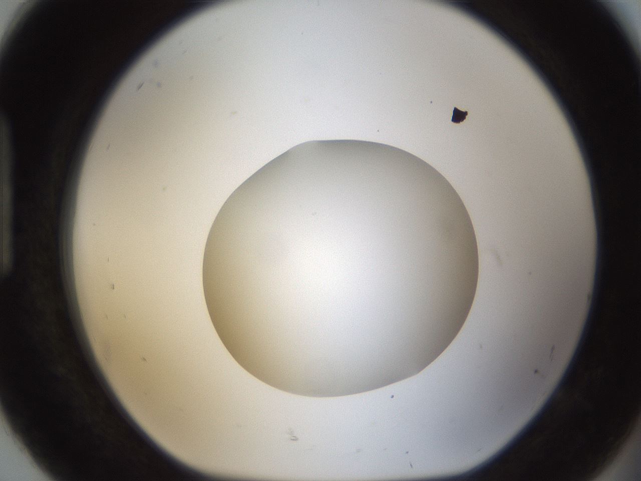 folderID53_plateID1053_batchID2251_wellNum92_profileID1_d1_r47404_ef.jpg