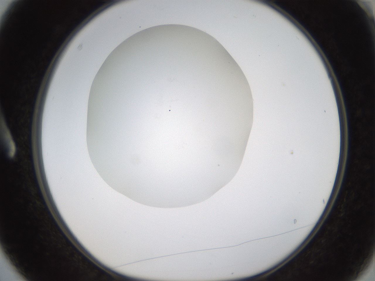 folderID434_plateID1434_batchID5443_wellNum3_profileID1_d1_r89309_ef.jpg