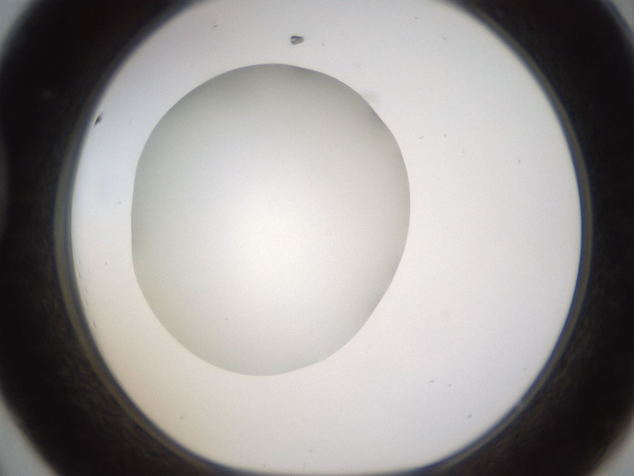 folderID434_plateID1434_batchID5443_wellNum44_profileID1_d1_r89391_ef.jpg