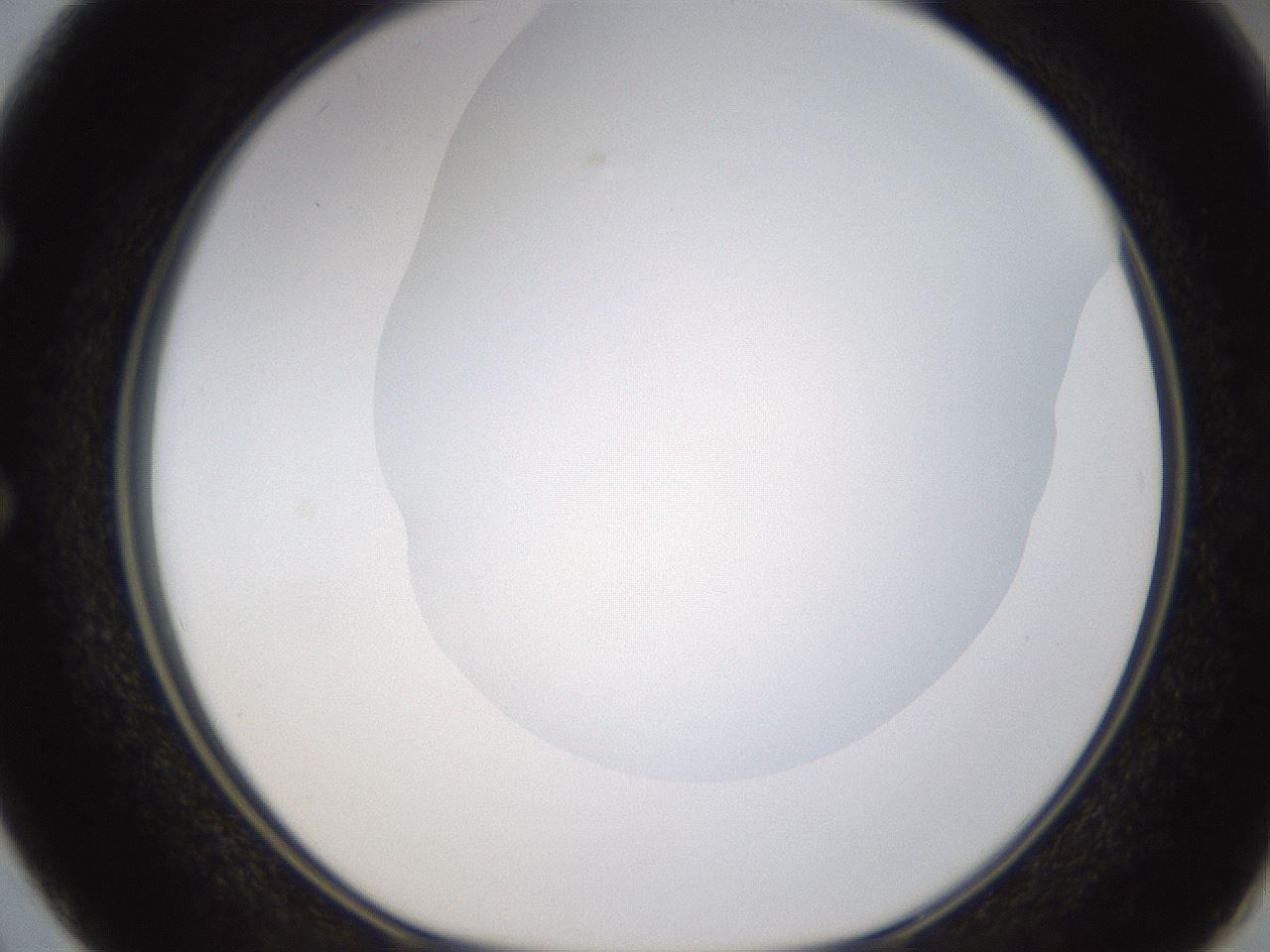 folderID434_plateID1434_batchID5443_wellNum50_profileID1_d1_r89403_ef.jpg