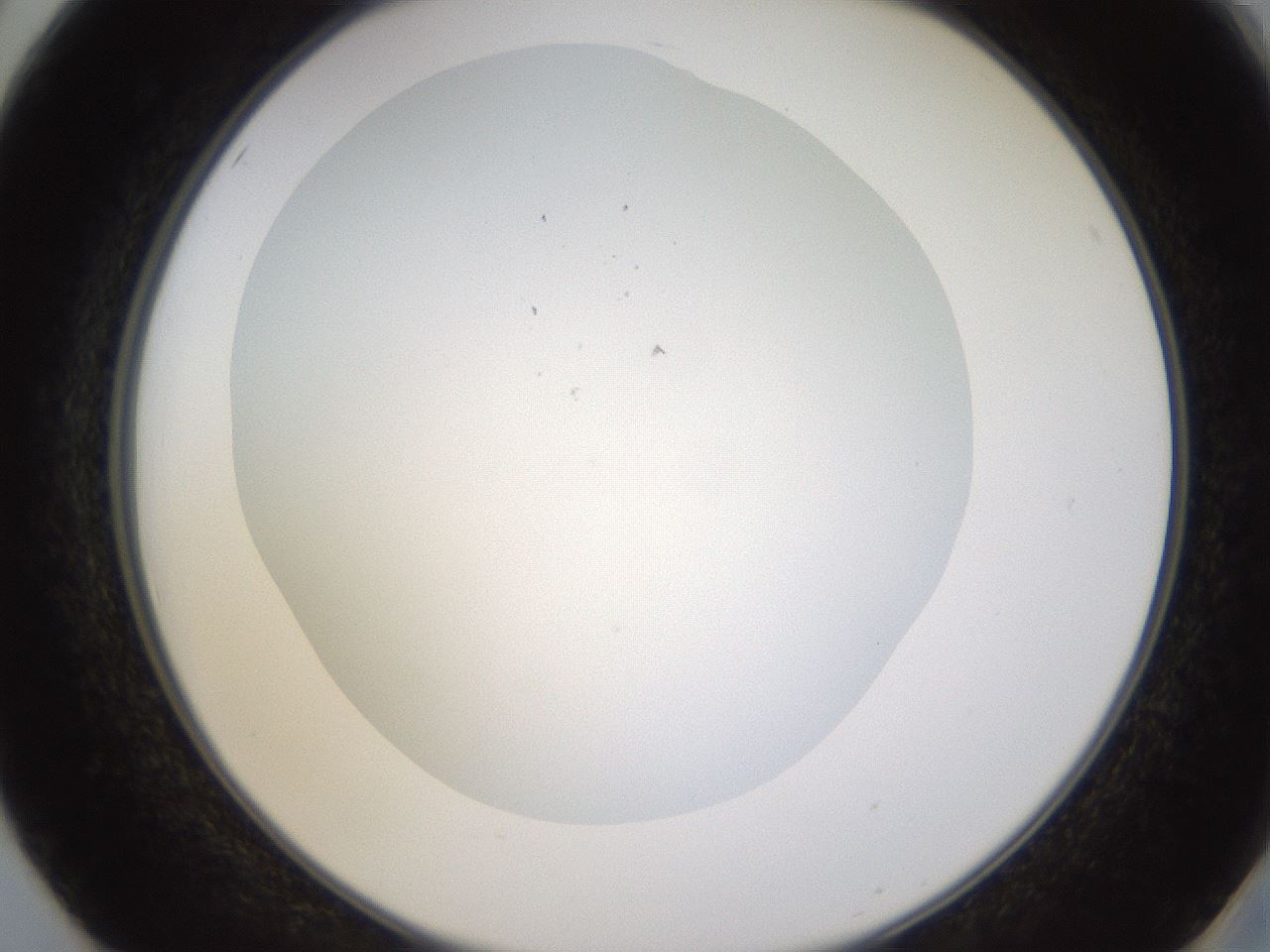 folderID434_plateID1434_batchID5443_wellNum50_profileID1_d2_r89404_ef.jpg