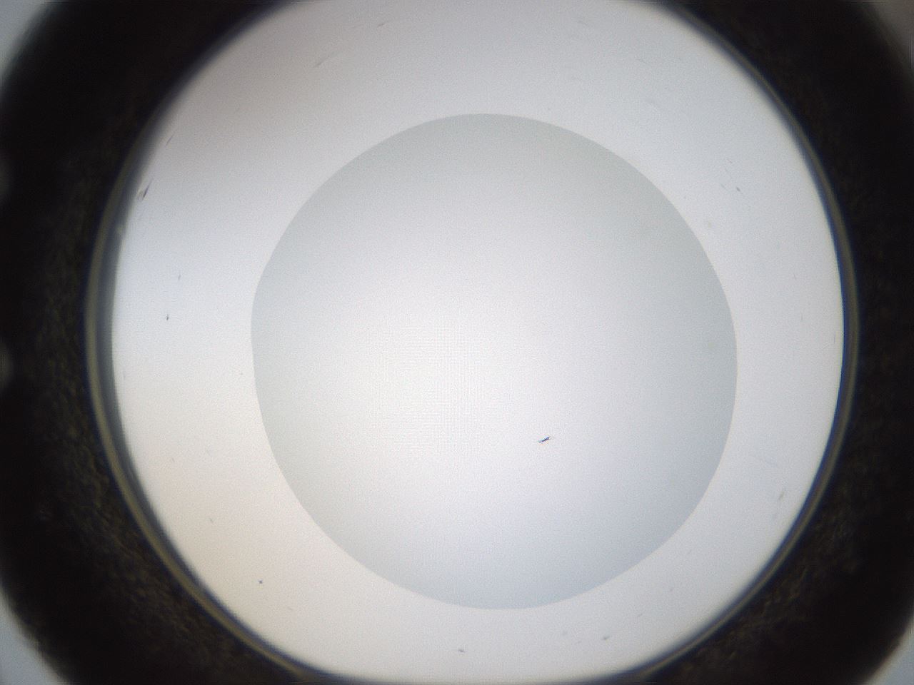 folderID434_plateID1434_batchID5443_wellNum51_profileID1_d1_r89405_ef.jpg