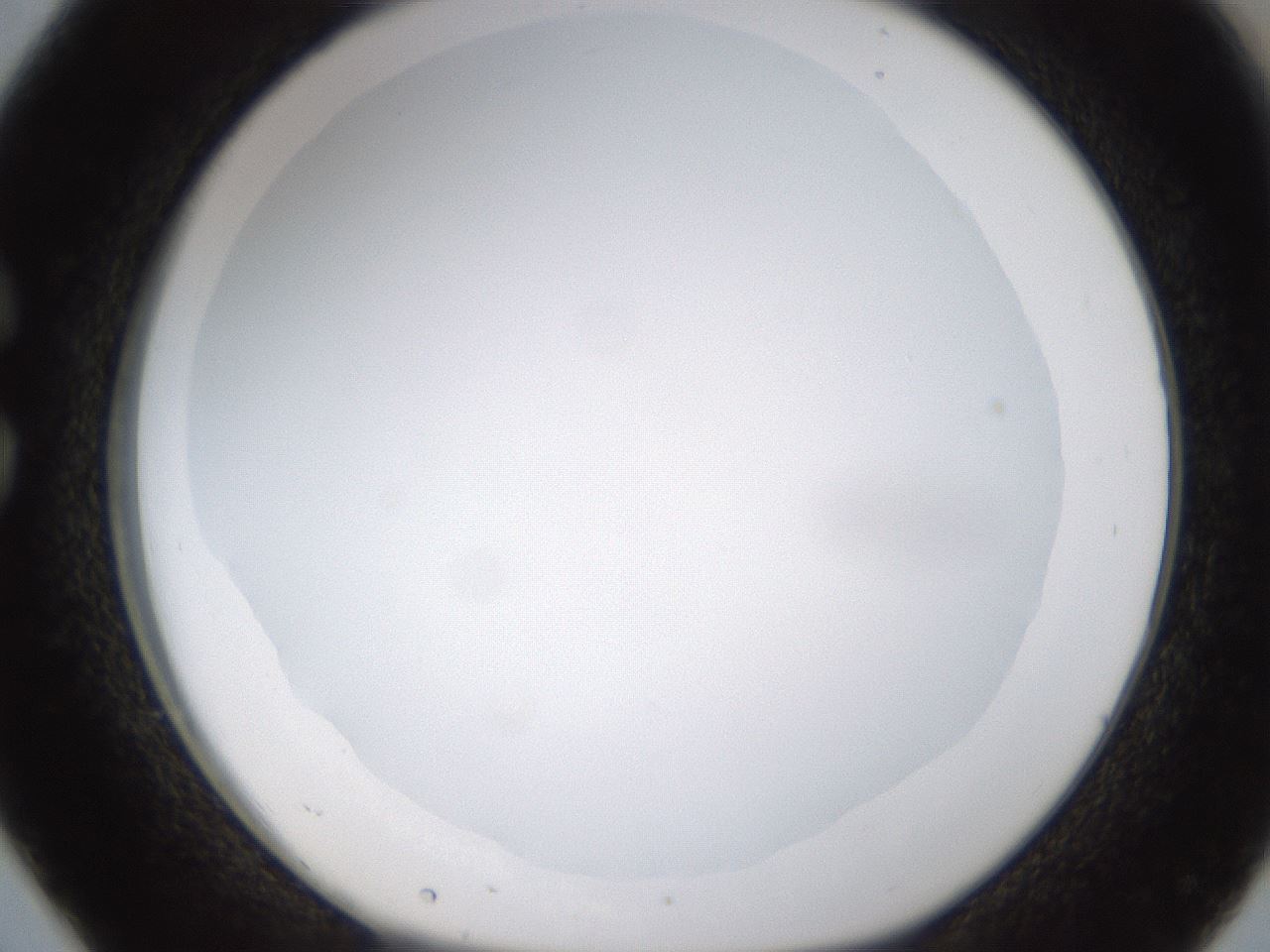folderID434_plateID1434_batchID5443_wellNum26_profileID1_d1_r89355_ef.jpg