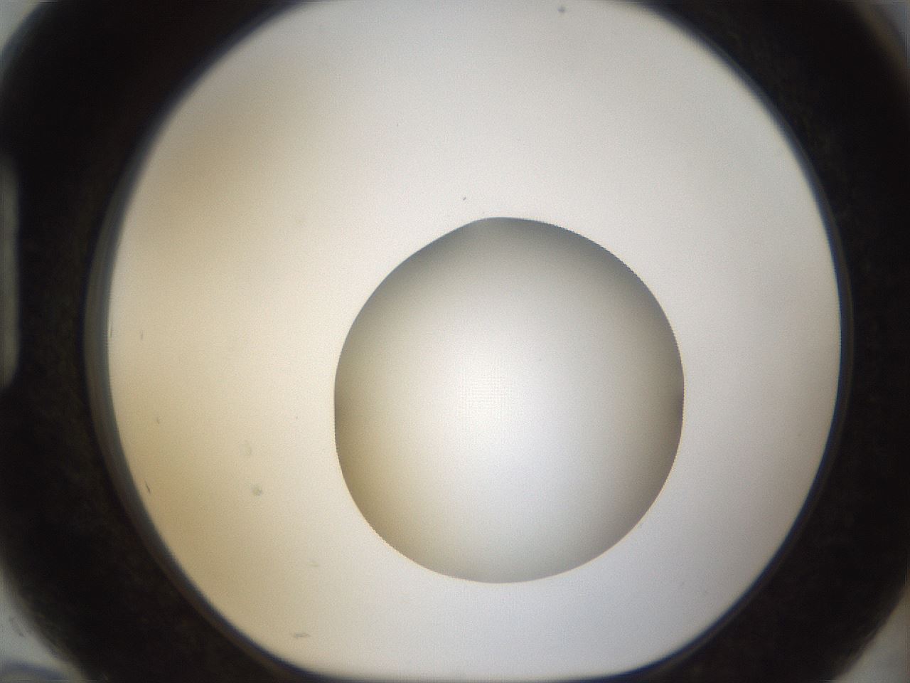 folderID53_plateID1053_batchID2251_wellNum94_profileID1_d1_r47406_ef.jpg