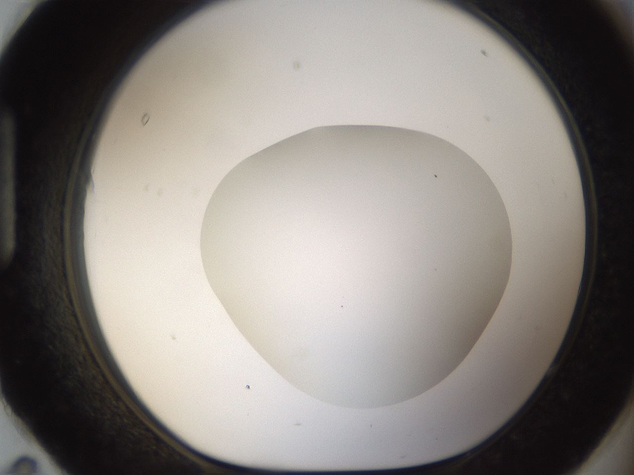 folderID53_plateID1053_batchID2251_wellNum95_profileID1_d1_r47407_ef.jpg