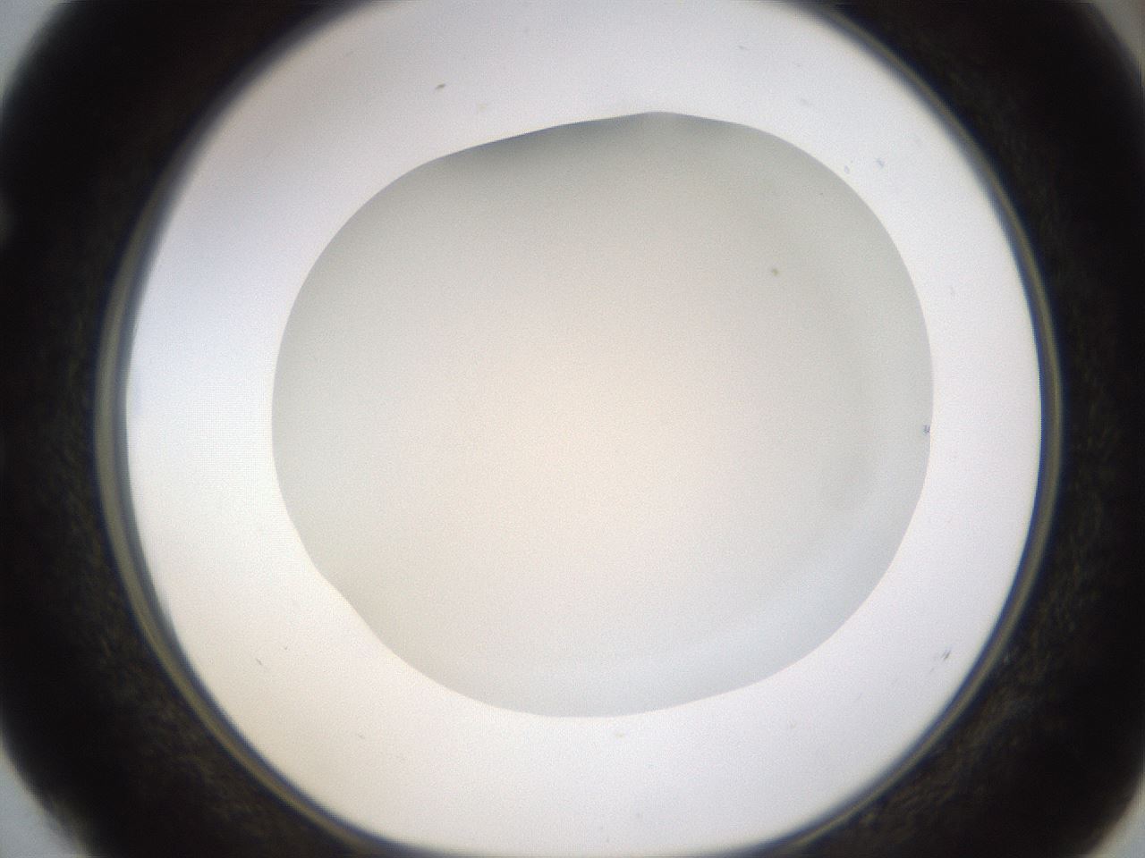 folderID434_plateID1434_batchID5443_wellNum52_profileID1_d1_r89407_ef.jpg