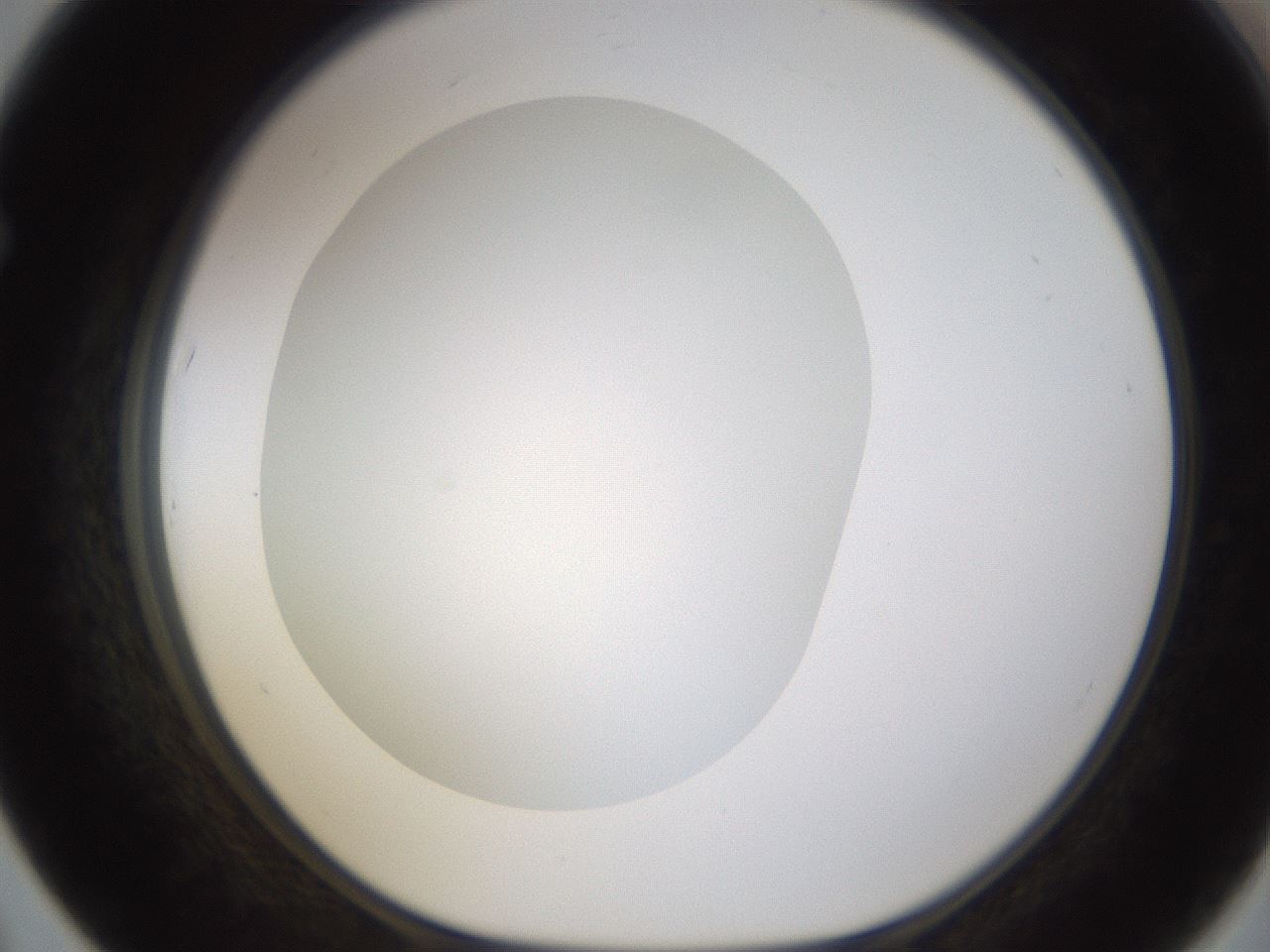 folderID434_plateID1434_batchID5443_wellNum67_profileID1_d1_r89437_ef.jpg