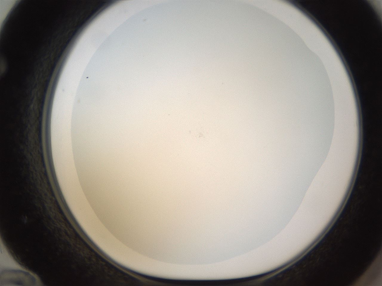 folderID434_plateID1434_batchID5443_wellNum72_profileID1_d1_r89447_ef.jpg